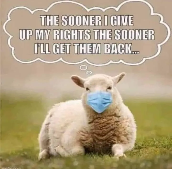 masks sheep.jpg