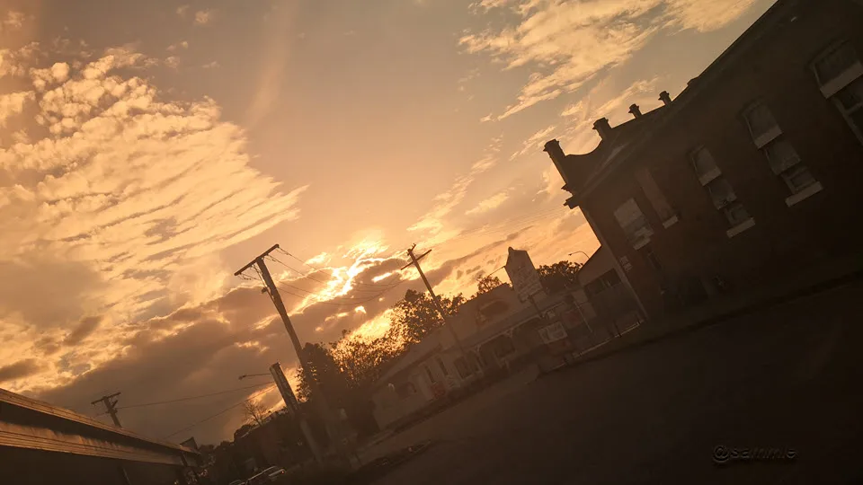 afternoon_walk_00.jpg