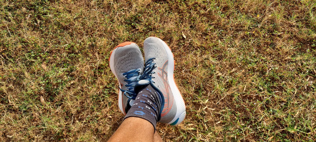 20201117_080151.jpg