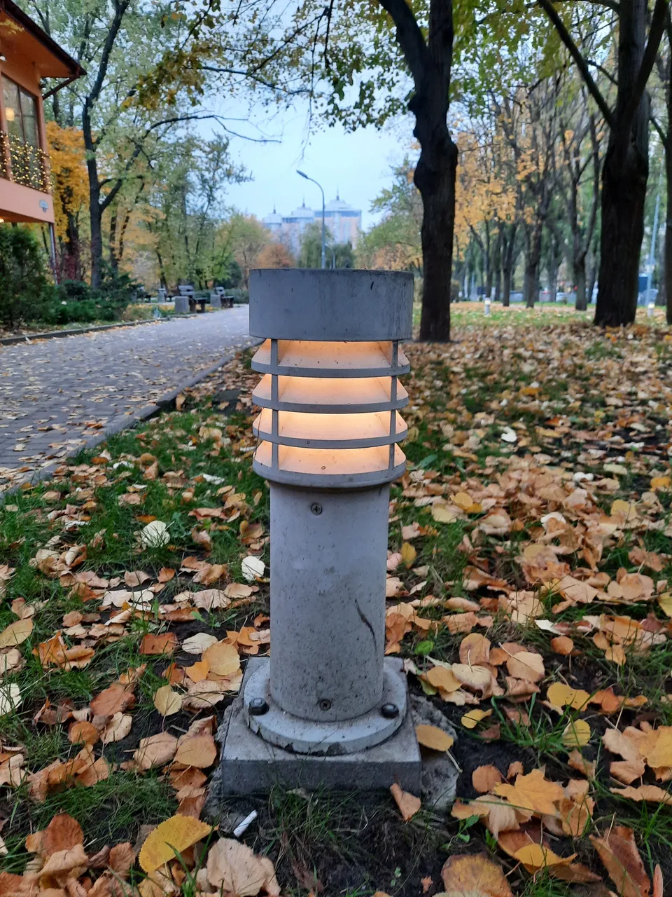 20201108_153457.jpg