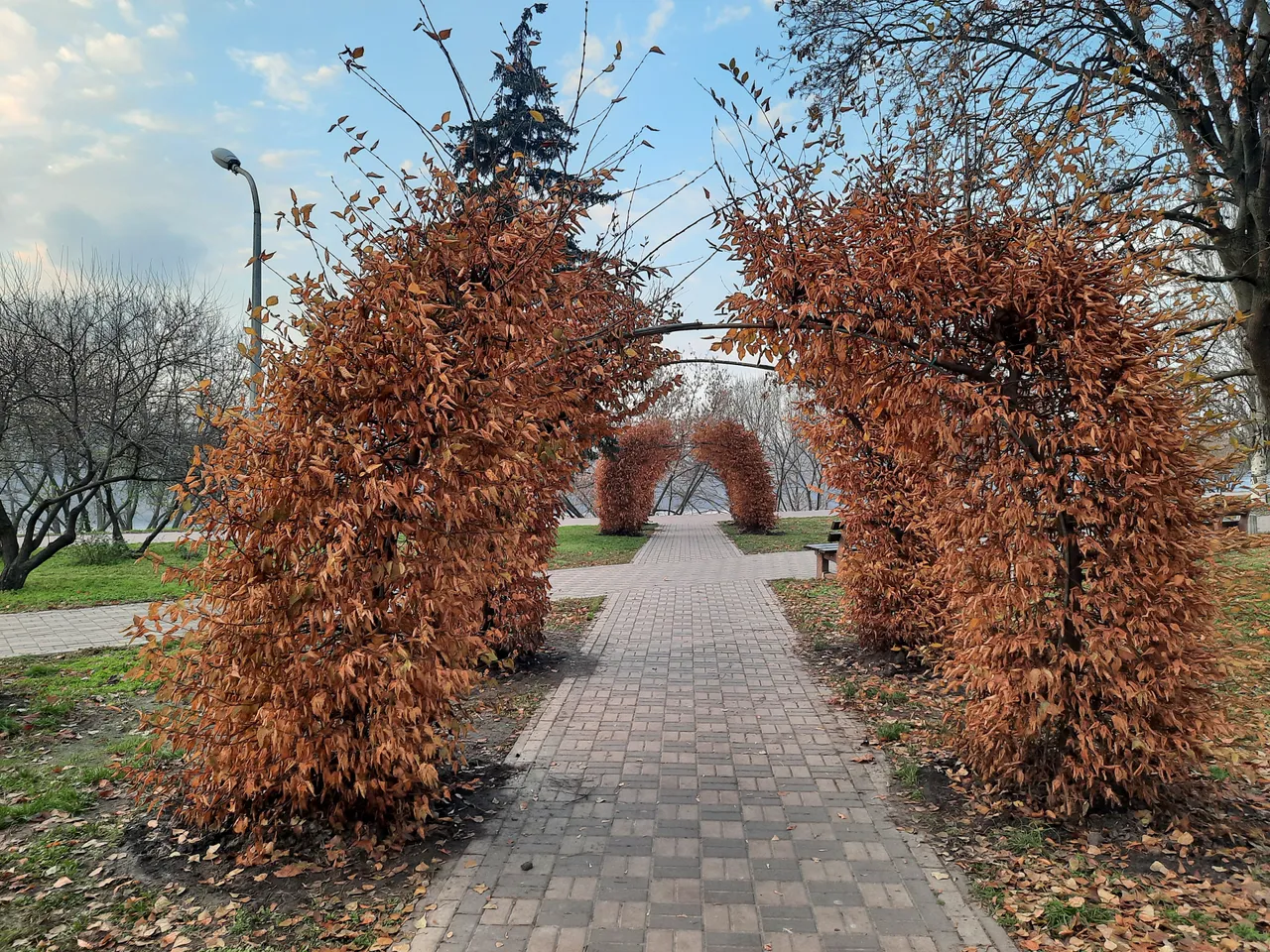 20201130_151855.jpg