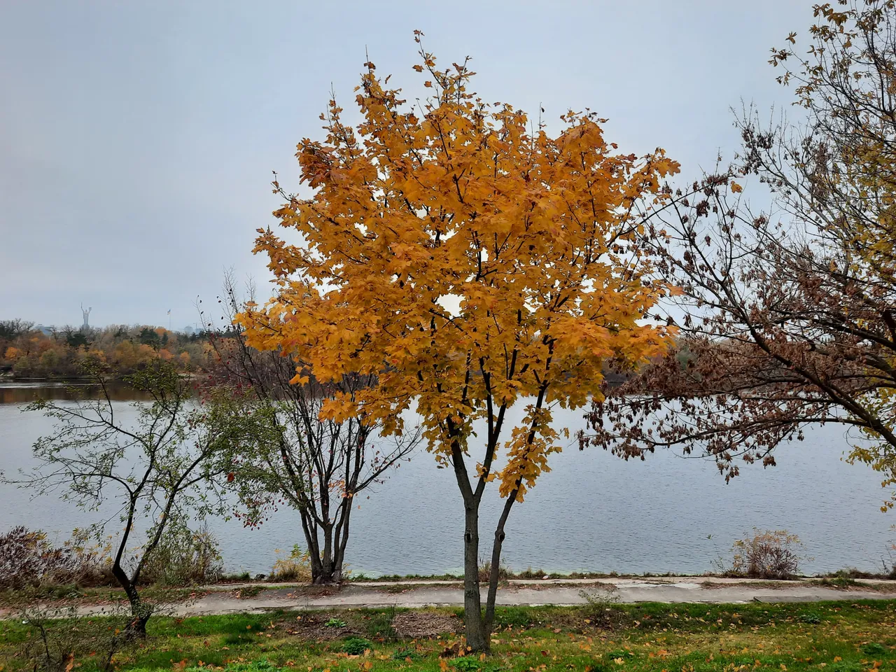 20201108_152103.jpg