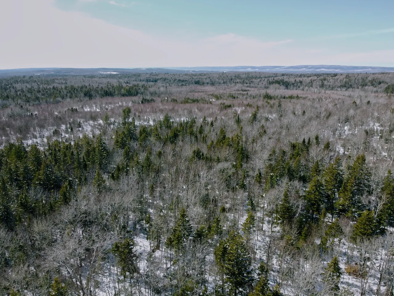 DJI_0033.jpg