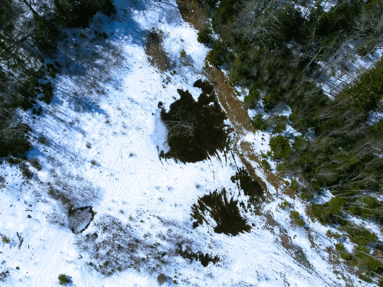 DJI_0032.jpg