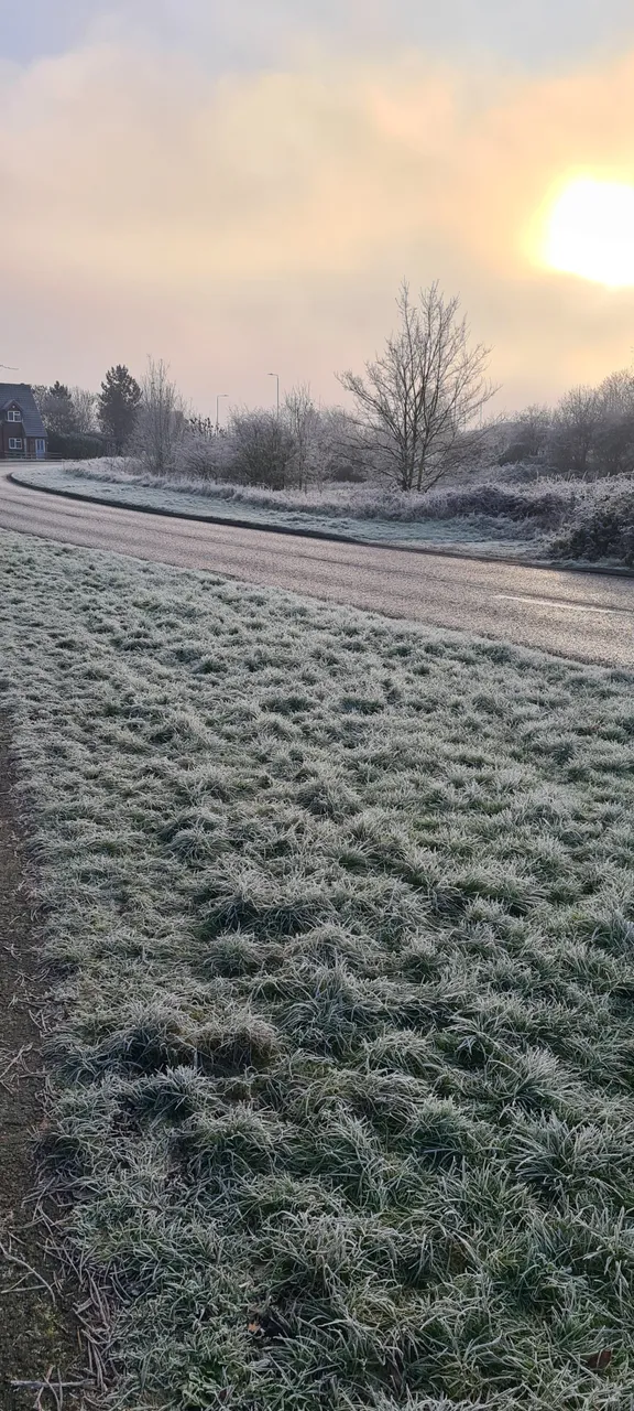 20210107_100659.jpg