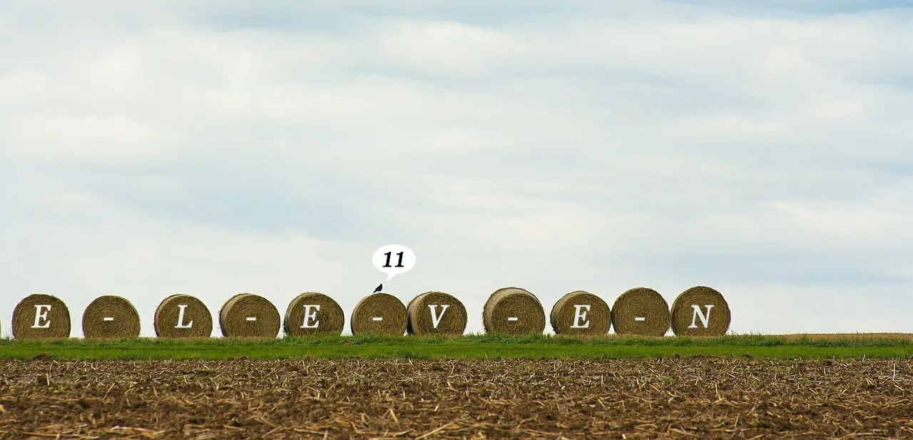field1111.jpg
