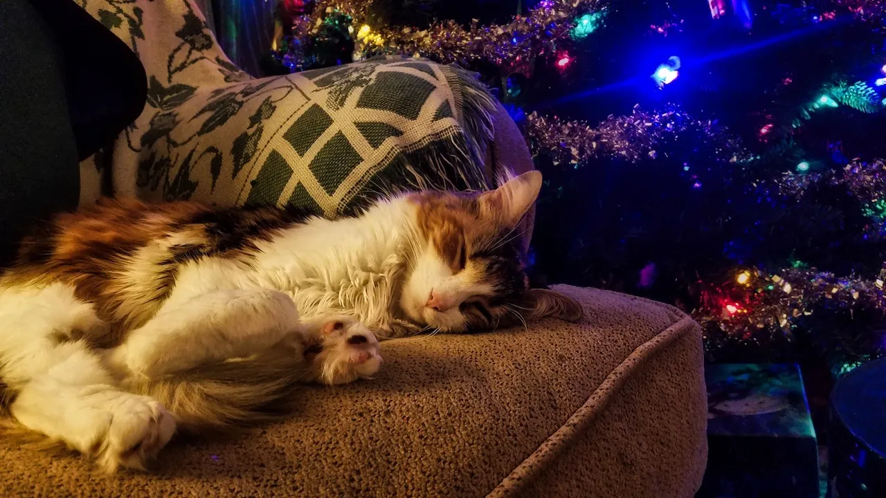 20181221_174647.jpeg
