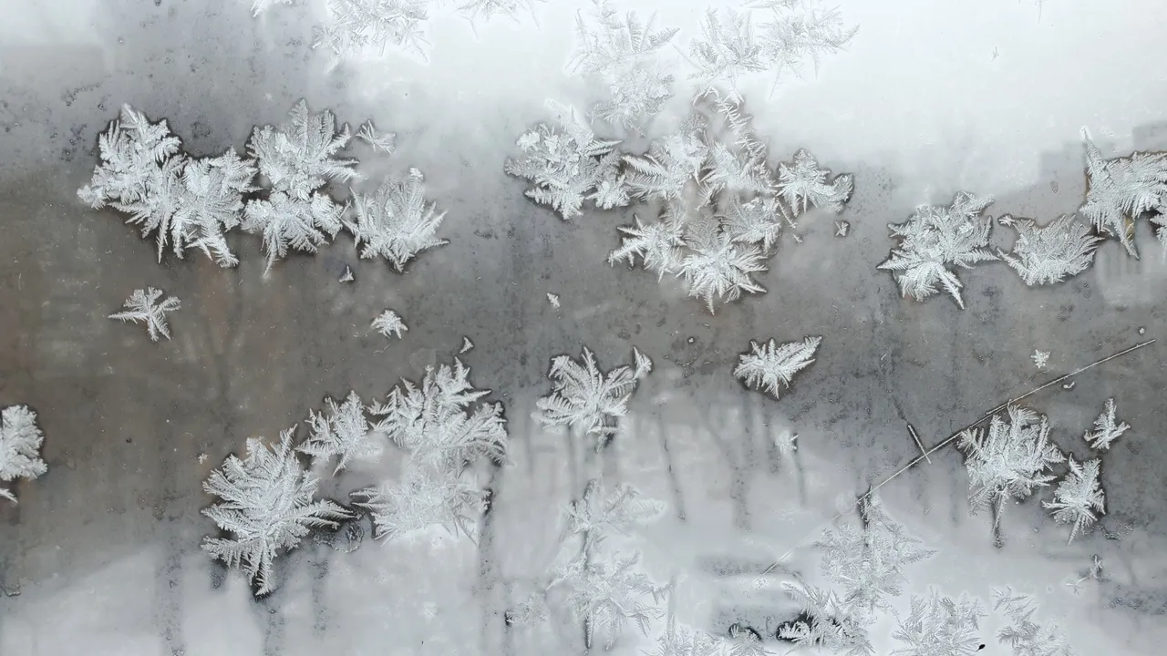 20210208_105122.jpg