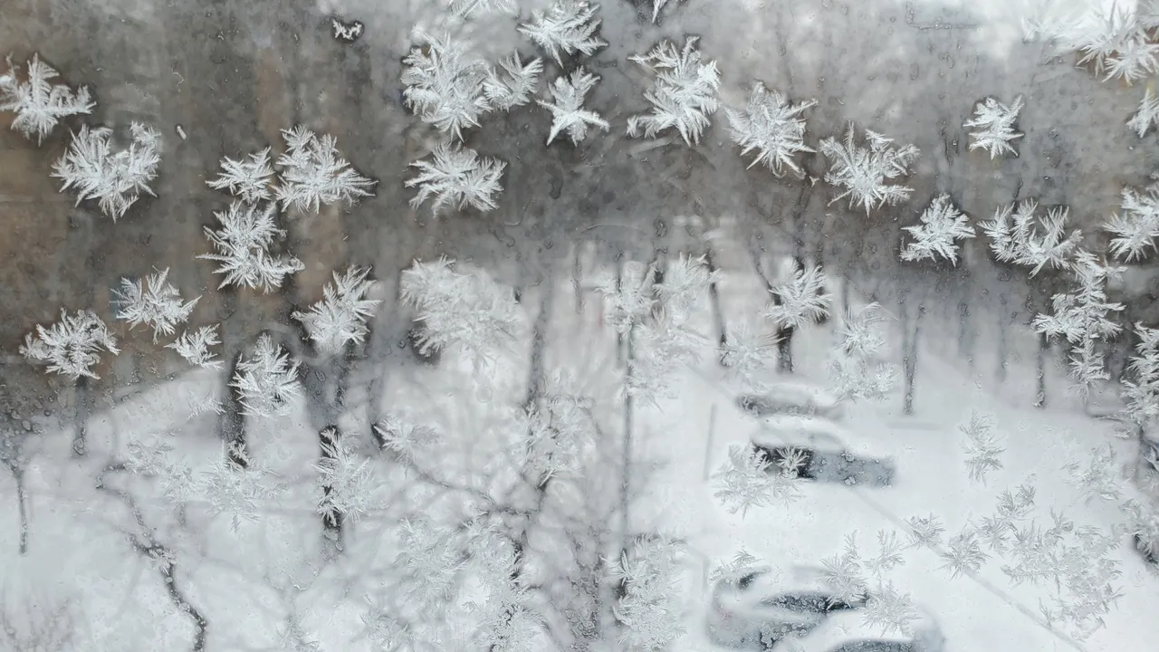 20210208_105139.jpg