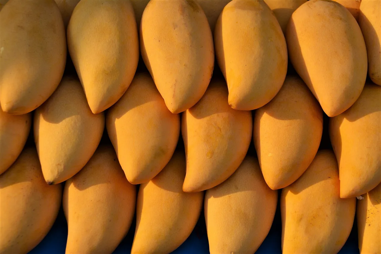 Mangoes1.jpg