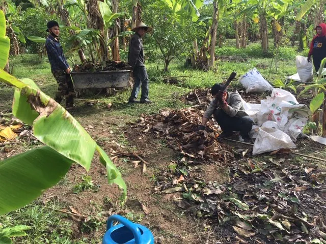 compost2.JPG