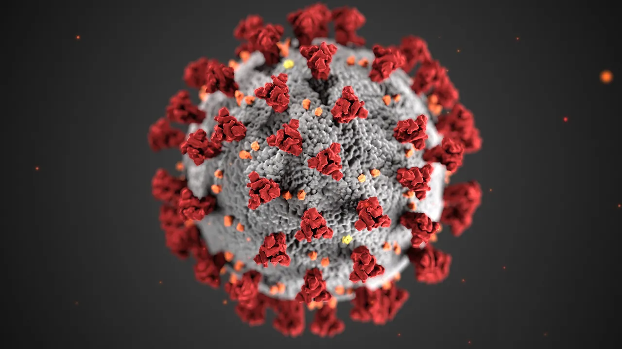 virus.jpg