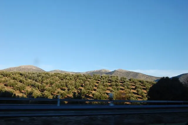 kDSC_0097.JPG