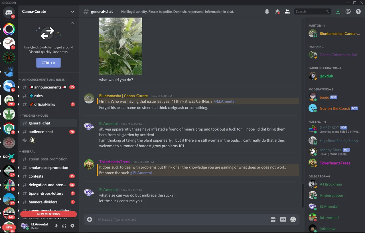 ccdiscord2.PNG