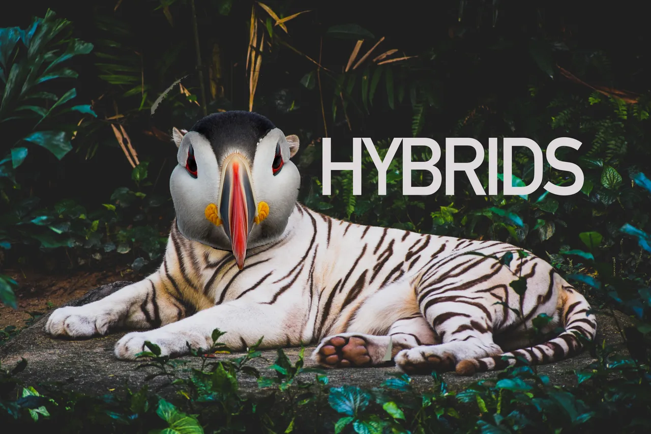 HYBRID.jpg