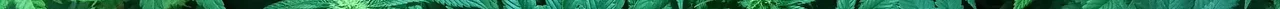 PageBreak.jpg