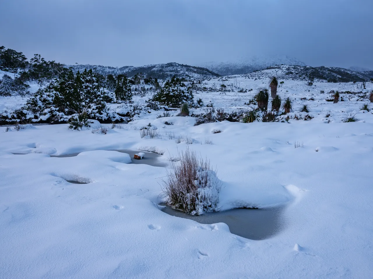 Winter in Tasmania