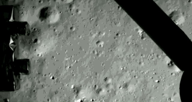 rabbit land2.gif