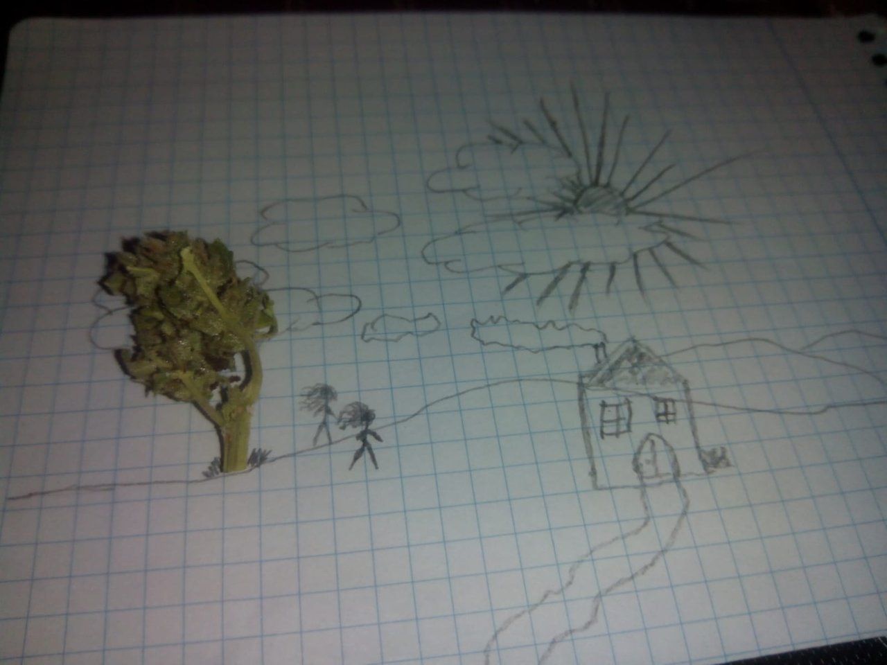 Shared From Dlike