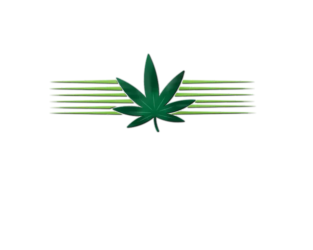 1586942710936.png