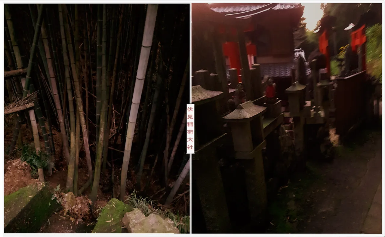 the creepy way down Fushimi Inari