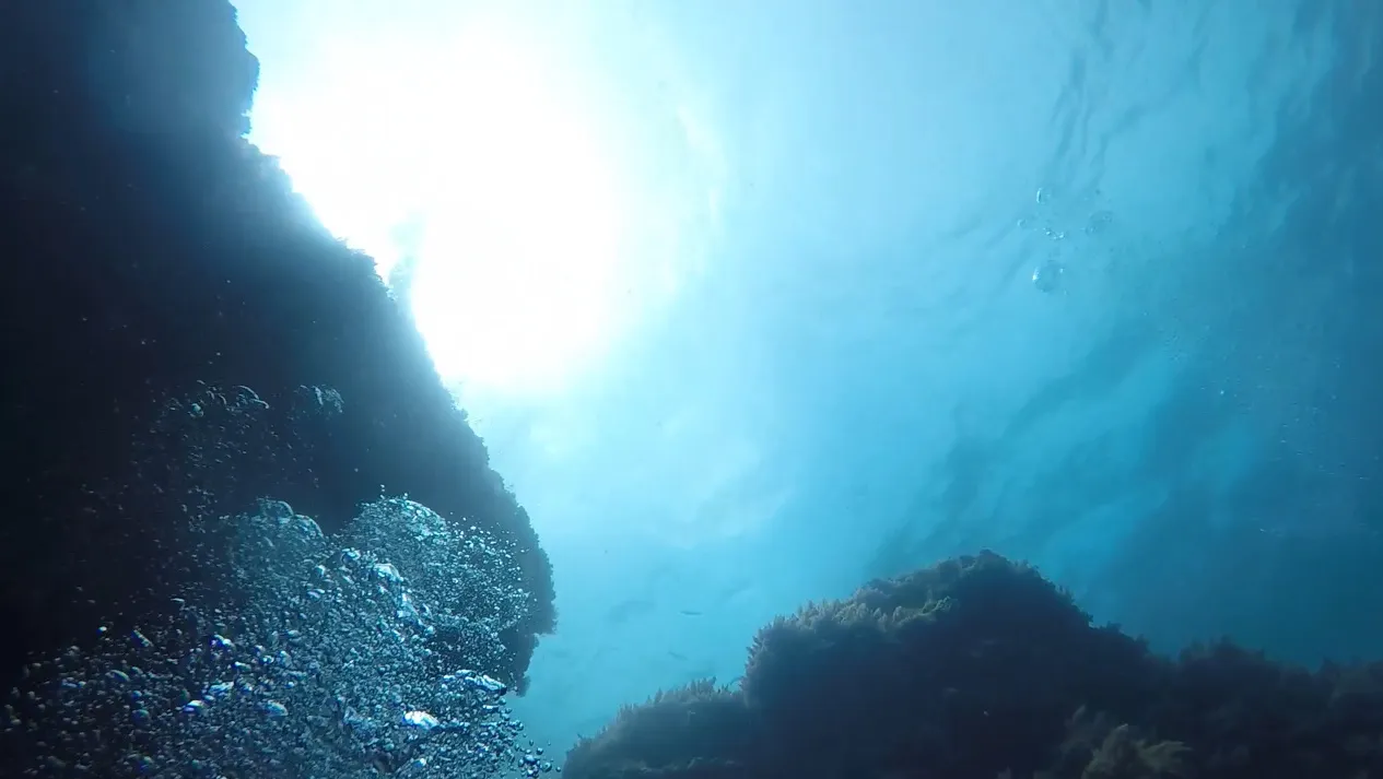 I make a 180 degree turn to dive on my air tank while I observe the beautiful surface of the sea.