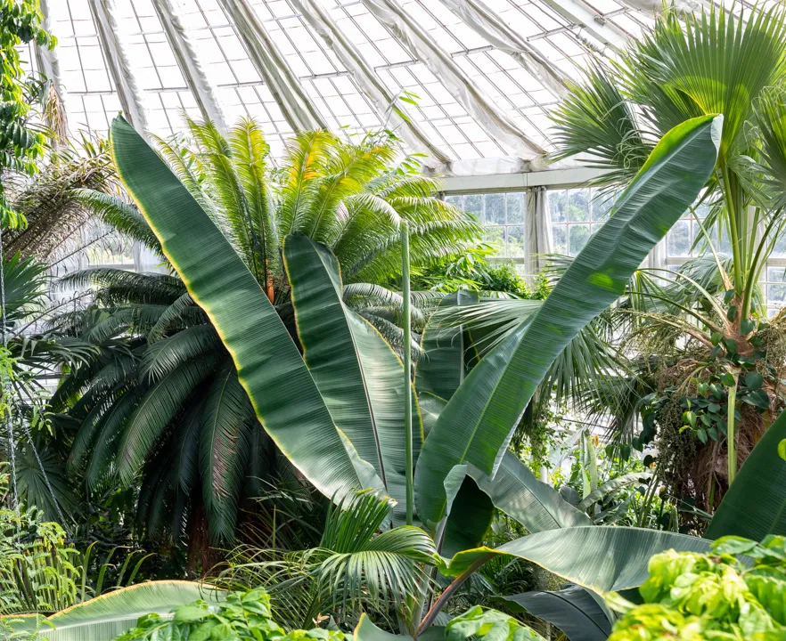 The highest point of the greenhouse was the hottest!