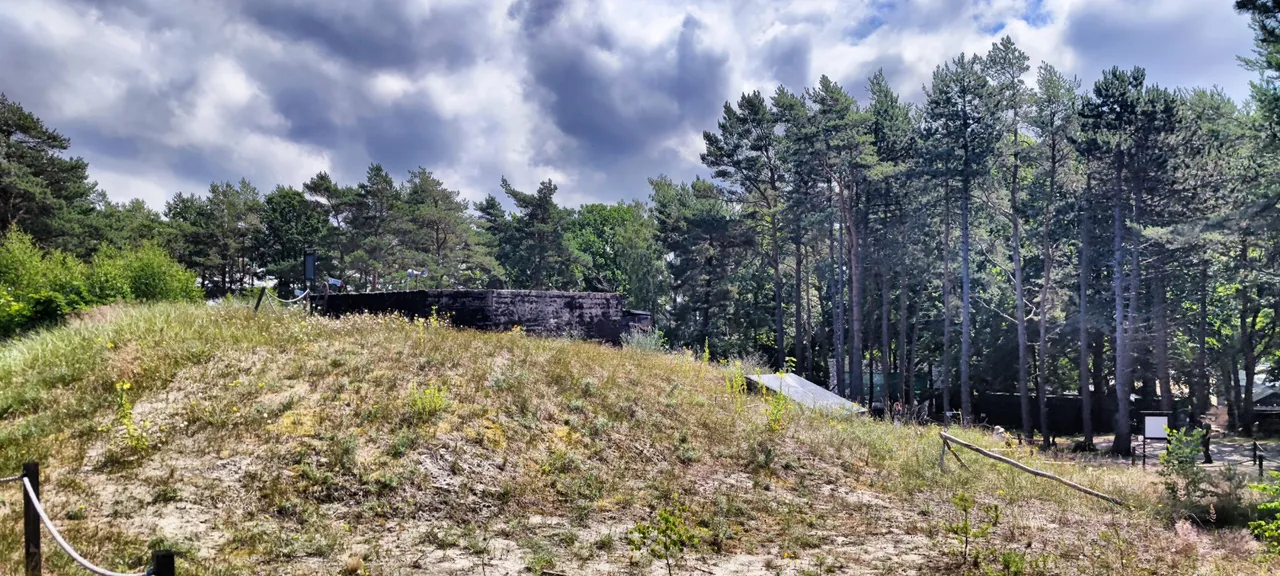 Behind the trees are the Baltic Sea