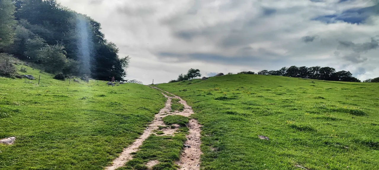 The way up to the camping site