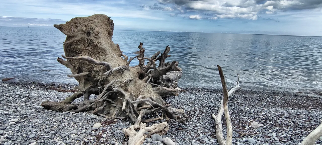 Down on the stony beach