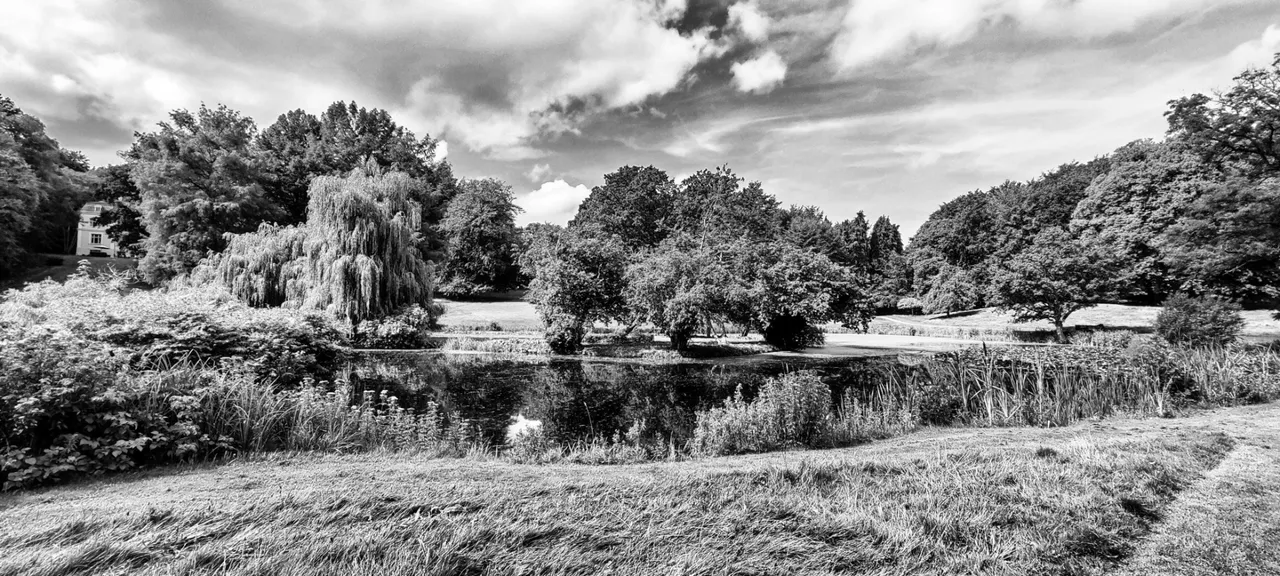 Black and white Garden