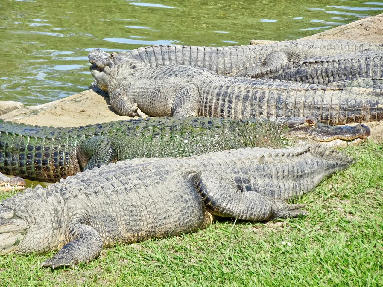 30 million years of age