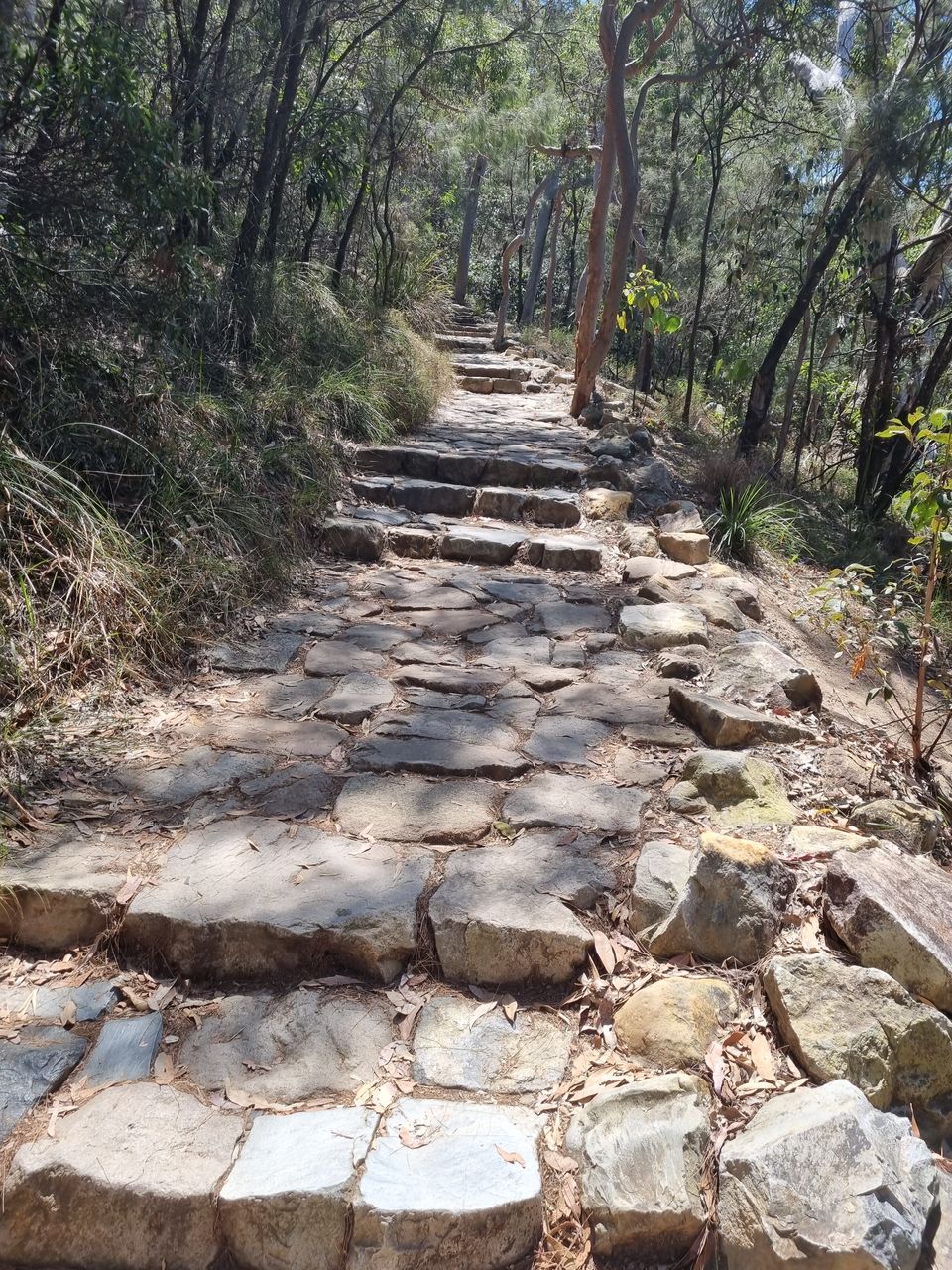 It has a well formed path to climb it, so there’s no getting lost or going the wrong way.