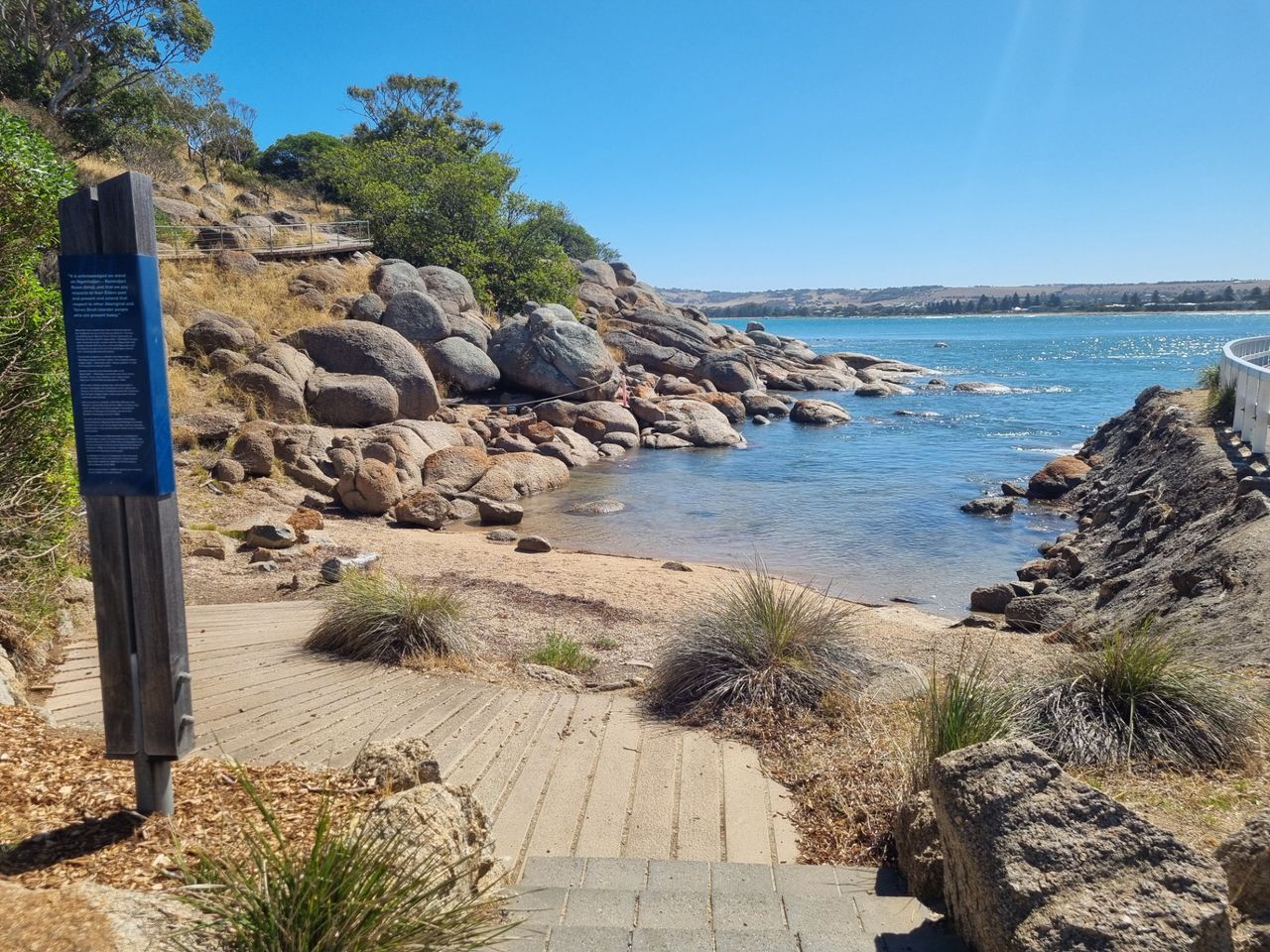 They get a few penguins at this little beach at different times during the year. There was a roped off section where the nest.