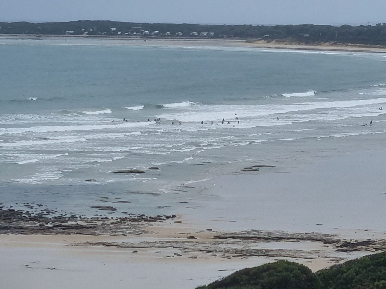 Looked like a tough day in office for the school children learning to surf.