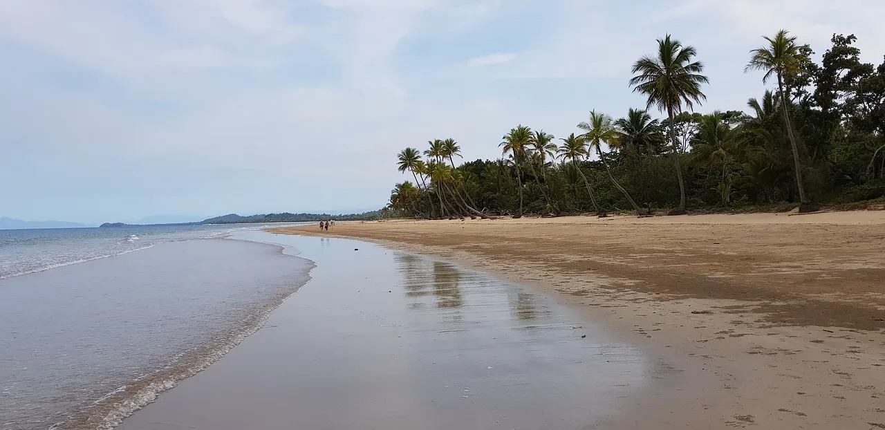queensland-3765396_1280.jpg