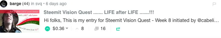 Steemit Vision Quest ....... LIFE after LIFE .......!!!
