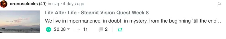Life After Life - Steemit Vision Quest Week 8