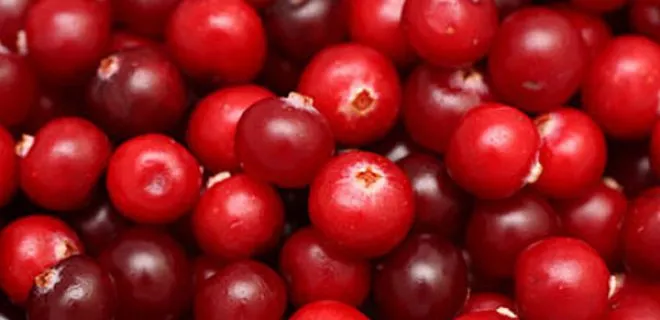 Goji berry