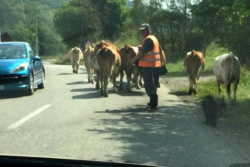 Random pictures: the 'Romanian road trip' edition ()