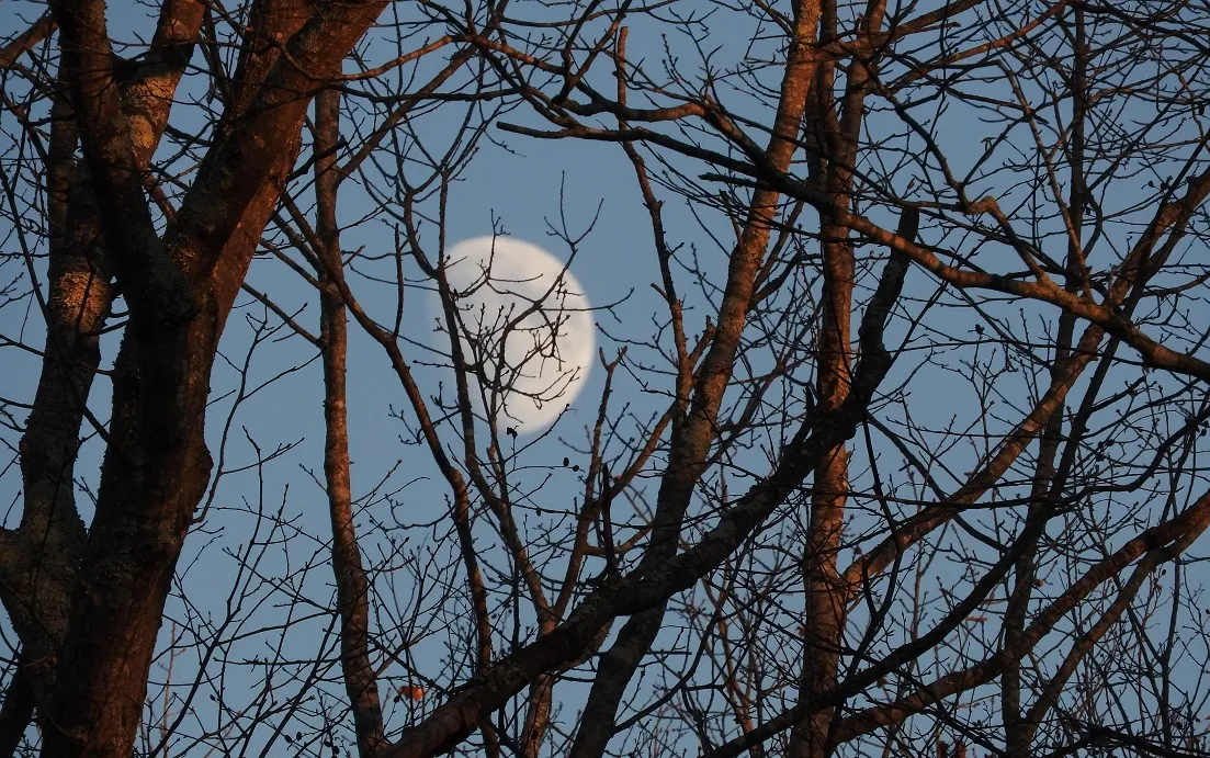 12 Last Quarter Moons