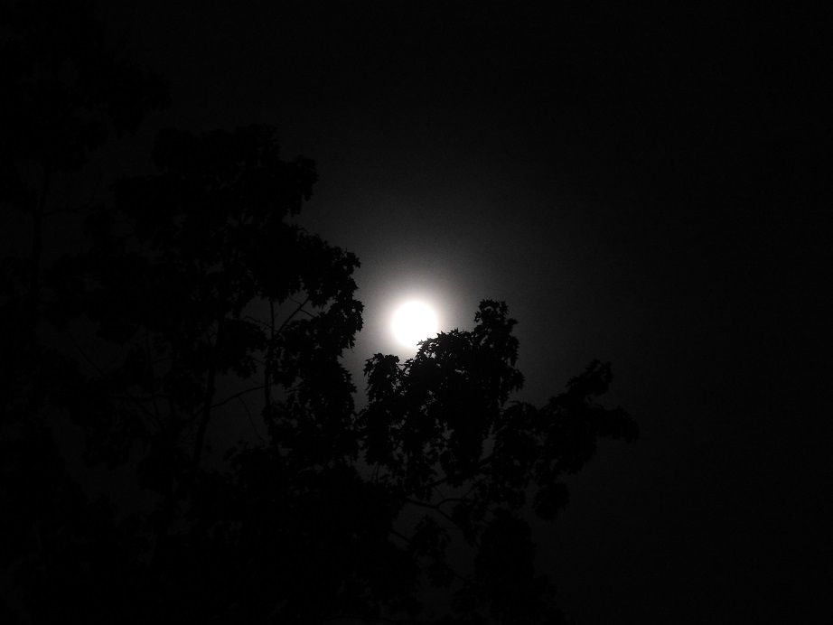 Full Harvest Moon