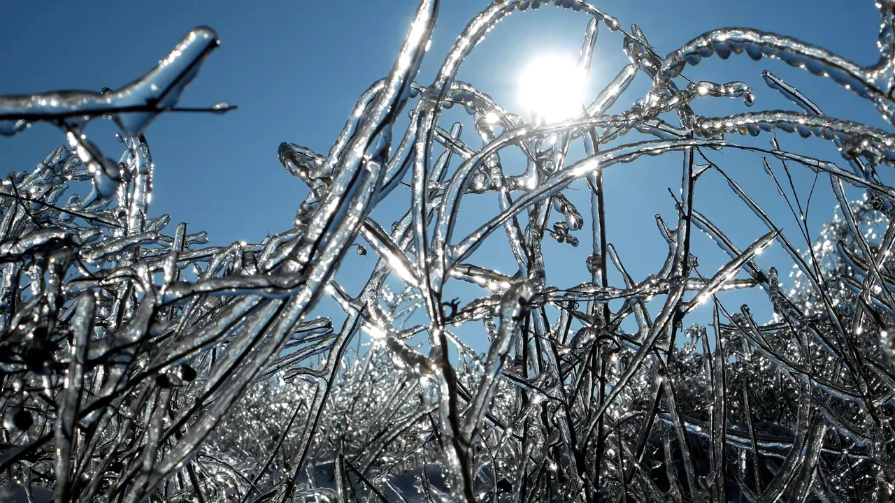 beautiful-branch-with-icicles-through-sunbeams-beautiful-sparkling-frozen-w_e_fhrv3cl__F0000.png