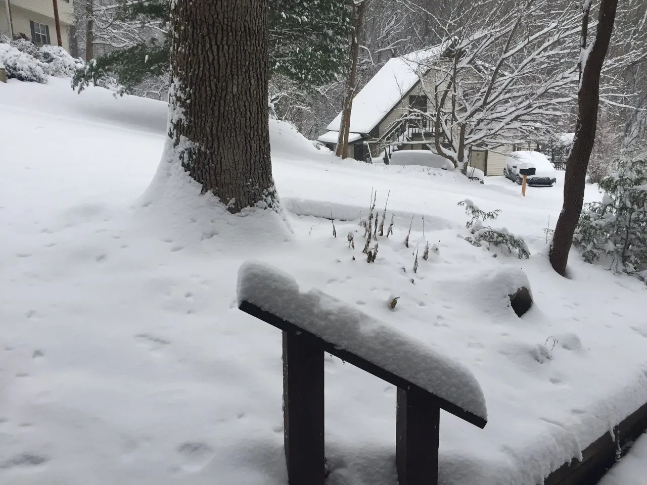 snow off the porch2