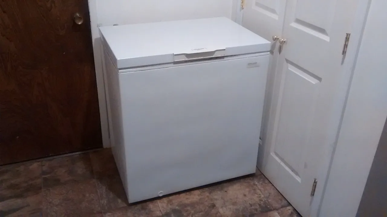The Chest Freezer