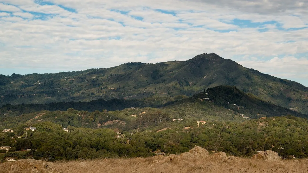 tam from ring
