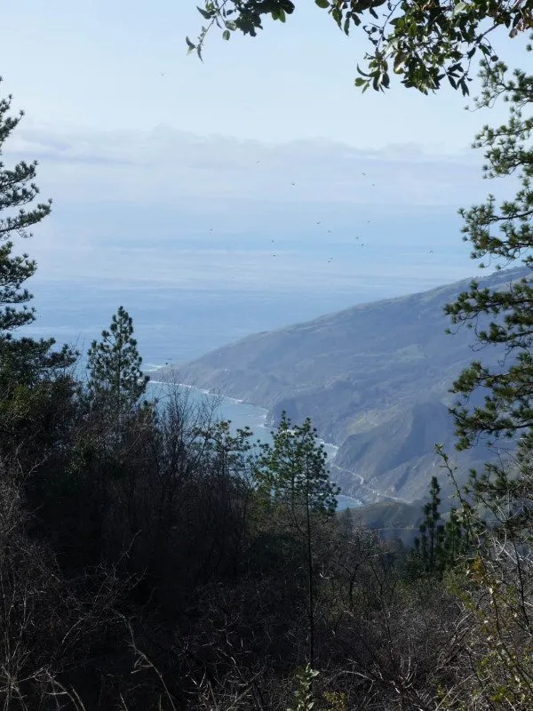 BigSur