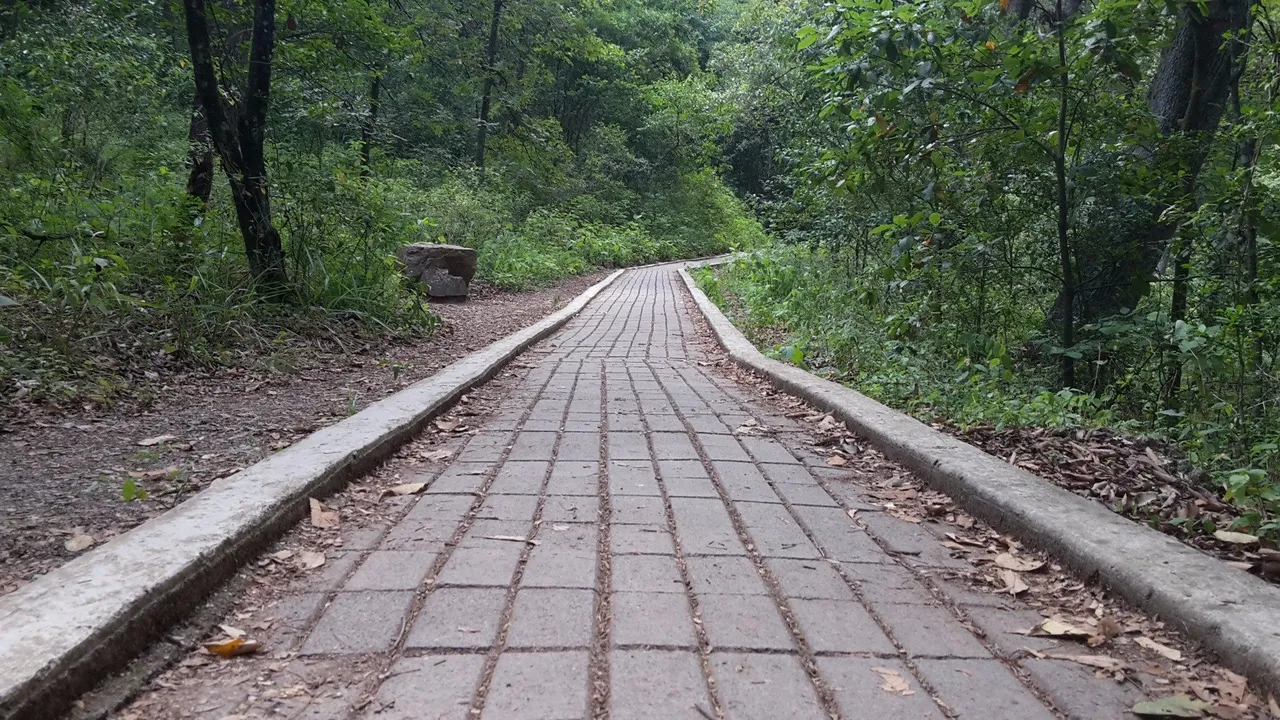 el sendero de la estanzuela