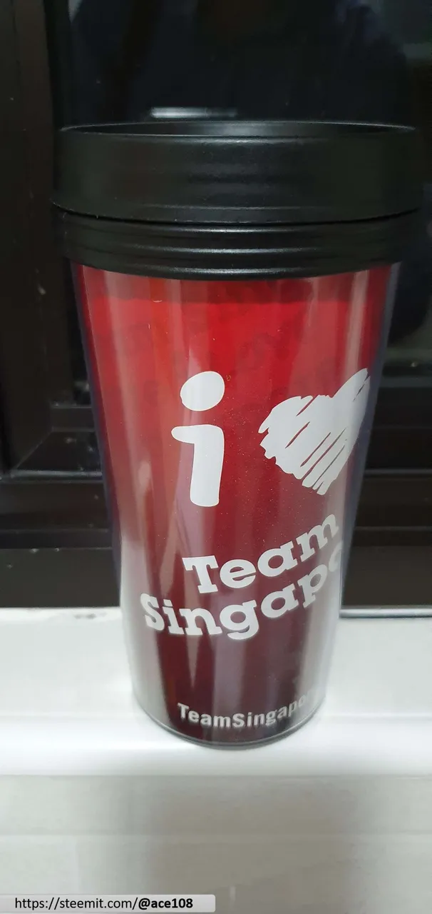 Team SG Mug