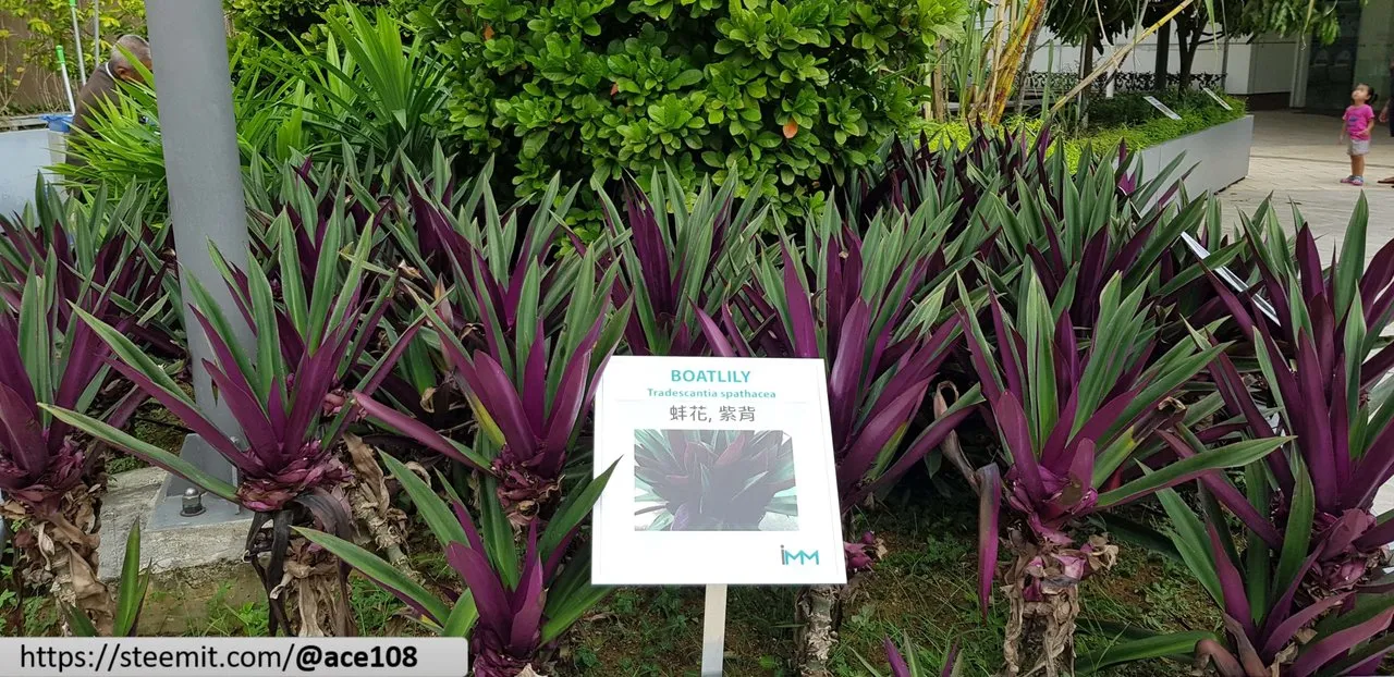 Text Description 120